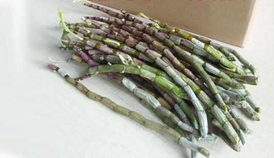 霍山铁皮石斛鲜条