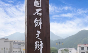 霍山石斛多少钱一克才算正品,霍山顶级米斛多少钱一克