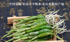 霍山米斛、霍山铁皮石斛与霍山铜皮石斛有什么区别