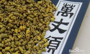 霍山石斛(万丈须)的保健治疗功效