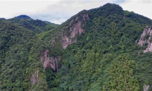 霍山米斛原产地太平畈乡探秘